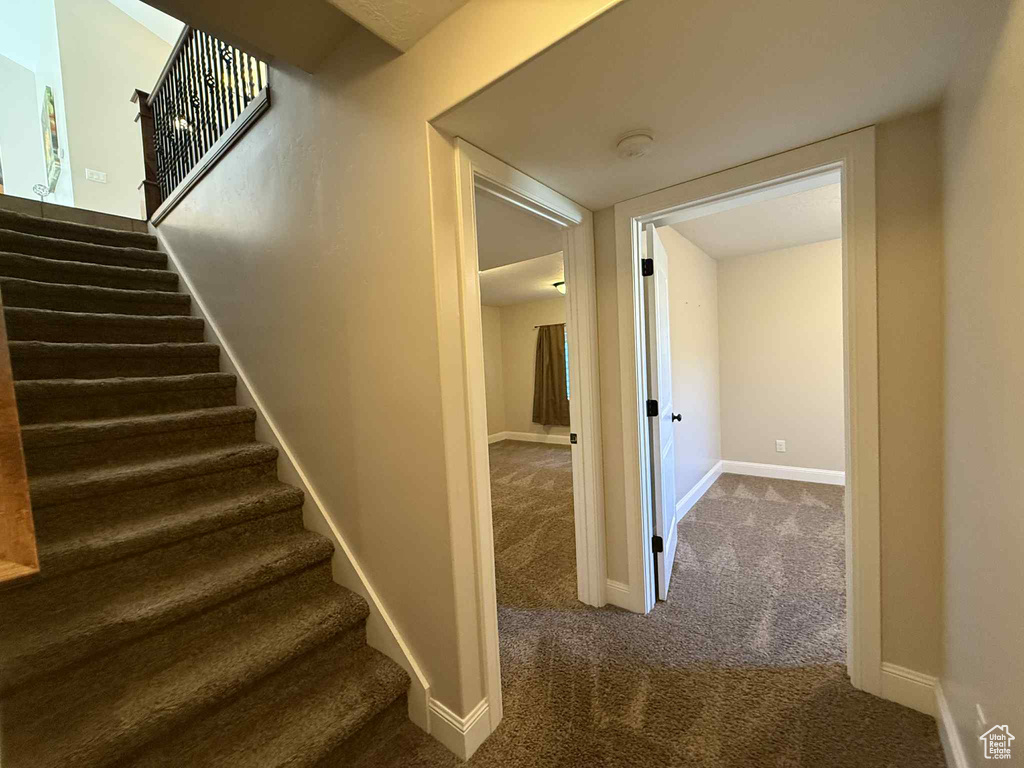 Staircase with carpet floors and baseboards