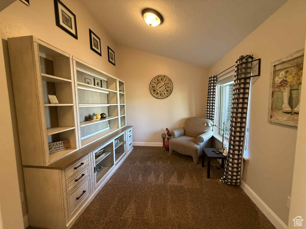 Sitting room featuring a textured ceiling and dark colored carpet