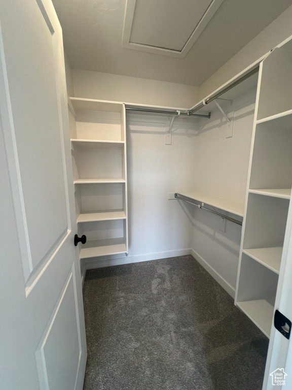 Walk in closet featuring dark carpet