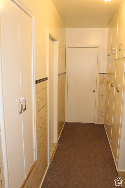 Hall with tile walls, wainscoting, and carpet