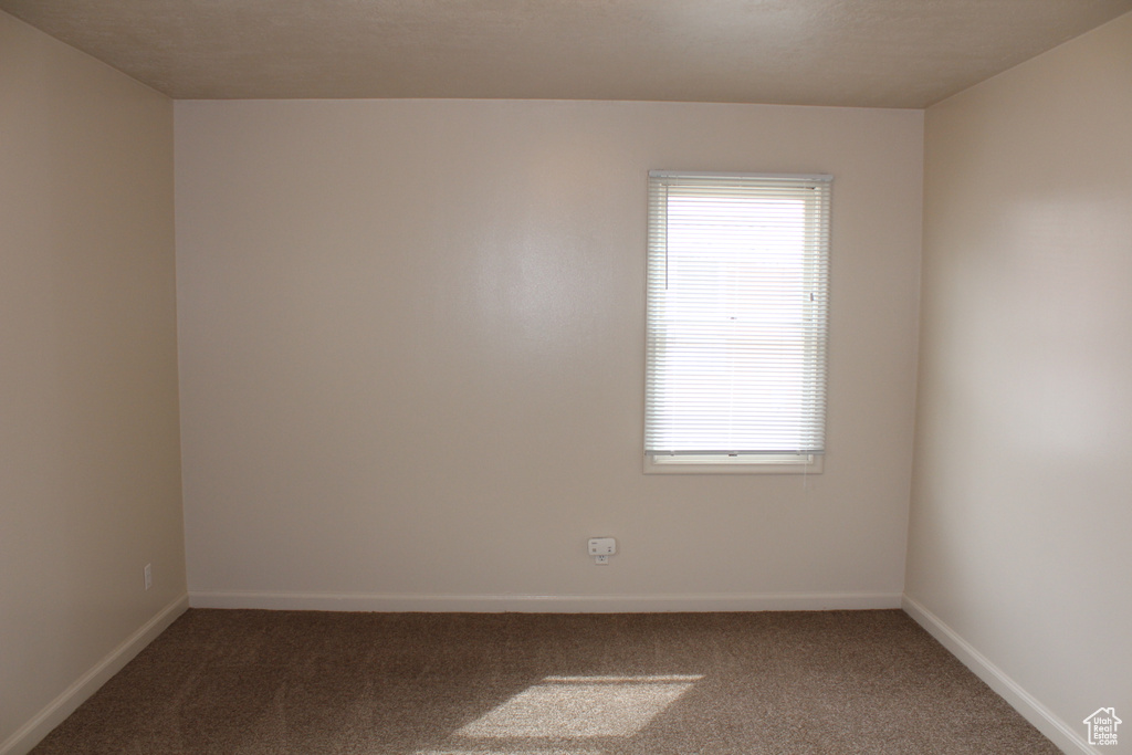 Spare room with carpet floors and healthy amount of natural light
