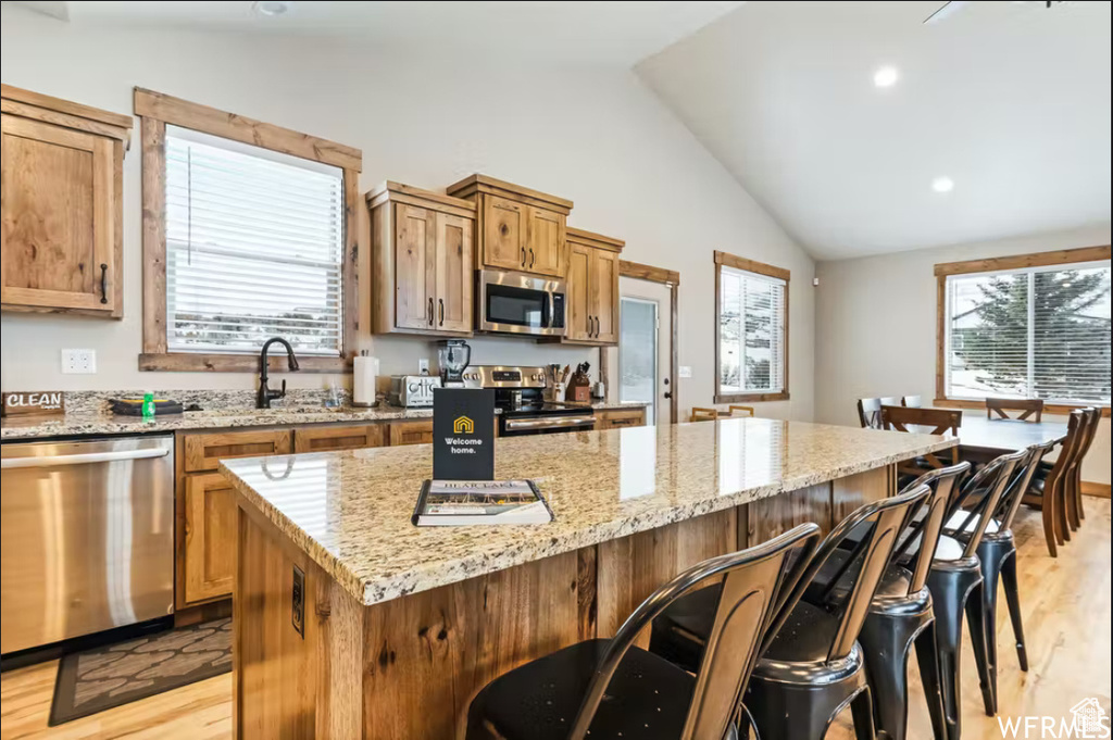 Kitchen featuring a healthy amount of sunlight, lofted ceiling, a sink, and appliances with stainless steel finishes