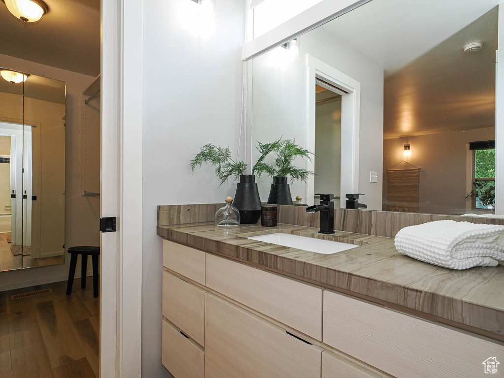 Bathroom featuring wood finished floors and vanity