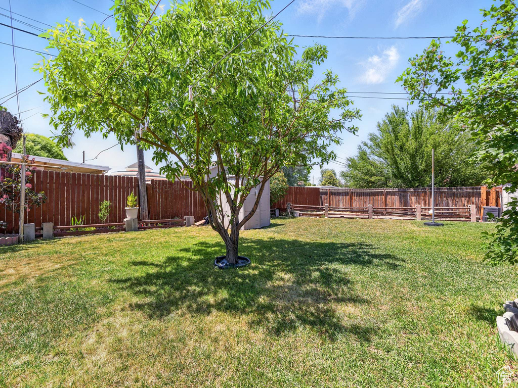 View of fenced backyard