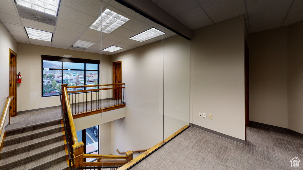 Carpeted spare room featuring a drop ceiling and baseboards