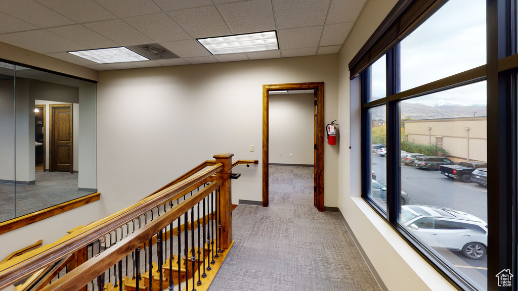 Corridor with carpet, an upstairs landing, and a drop ceiling