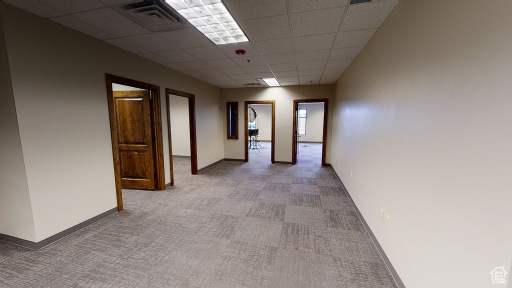 Corridor with carpet flooring and a drop ceiling