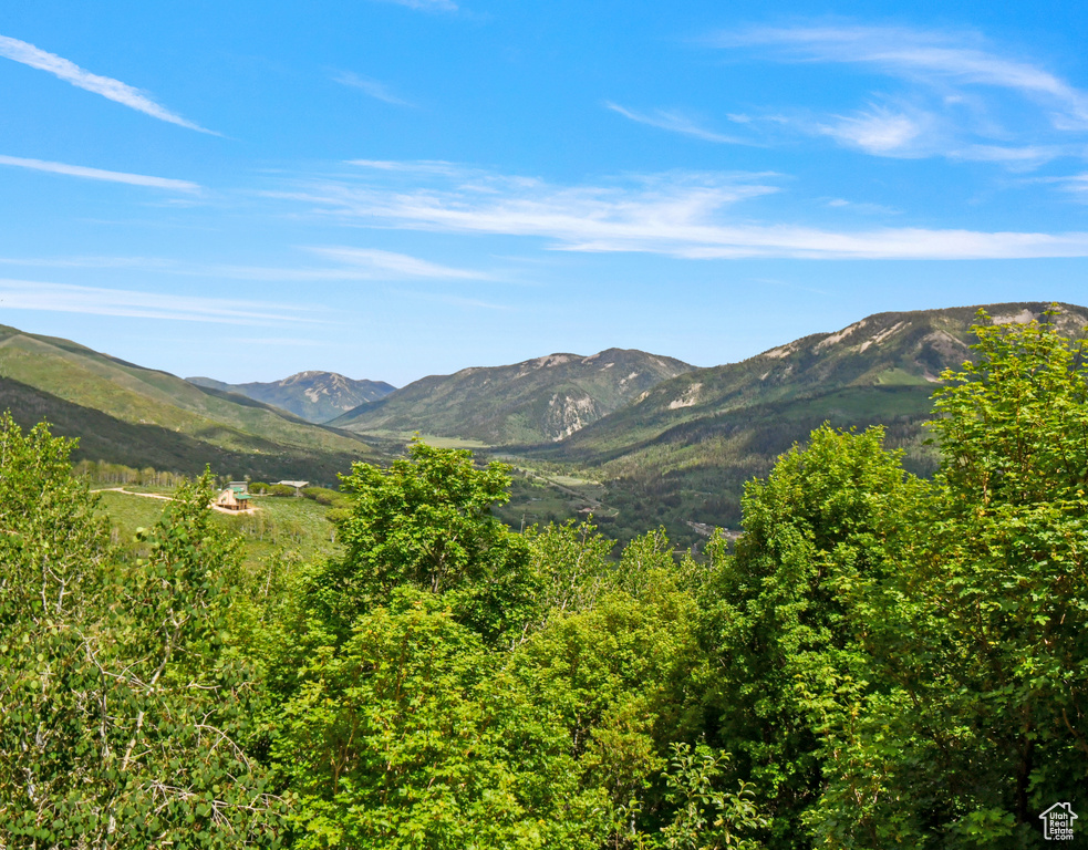 View of mountain background