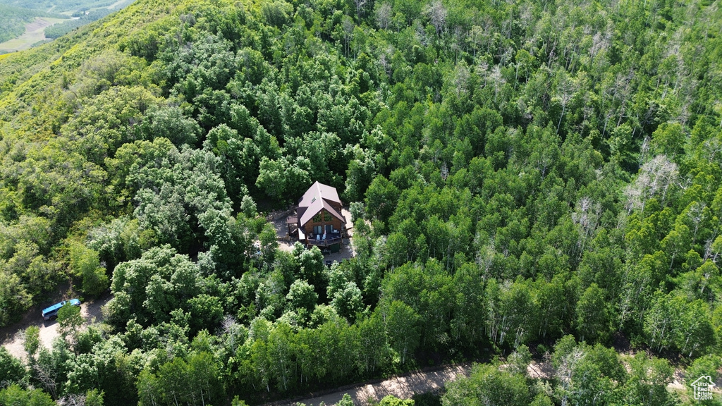 View of property location with a forest
