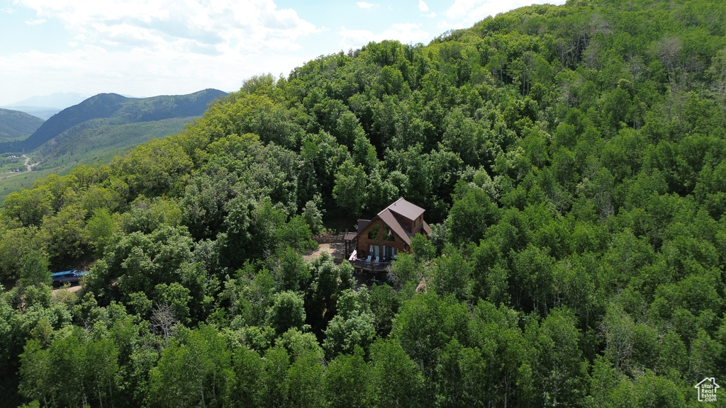 View of mountain background featuring a forest