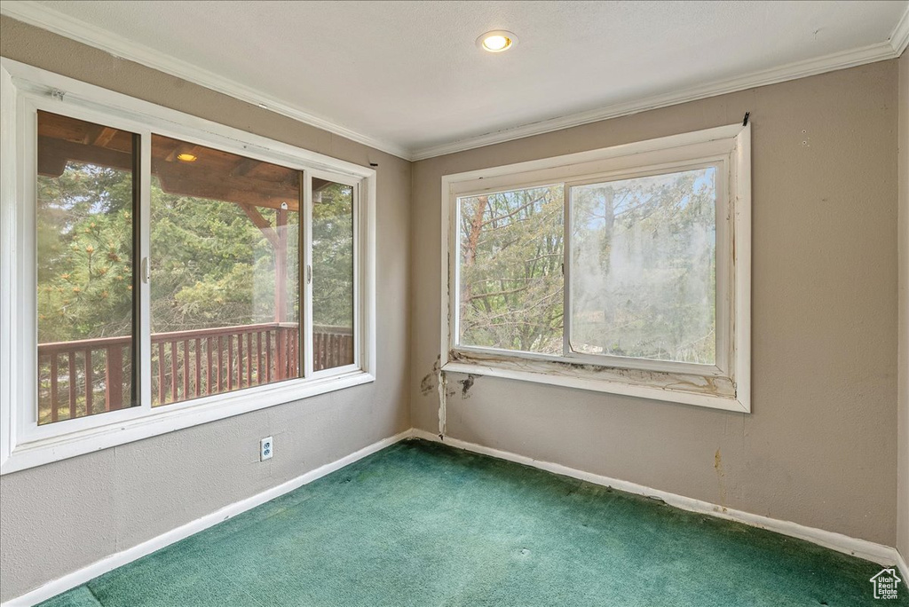 Unfurnished room featuring dark colored carpet and ornamental molding
