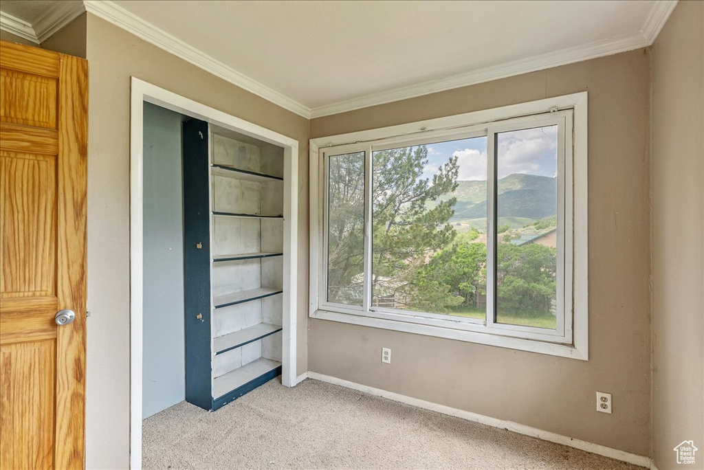 Unfurnished bedroom with light carpet, crown molding, a mountain view, and a closet