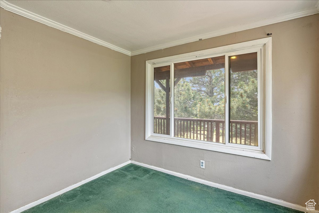 Unfurnished room with dark carpet and crown molding