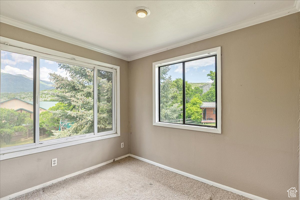 Empty room featuring plenty of natural light, light carpet, ornamental molding, and a water view