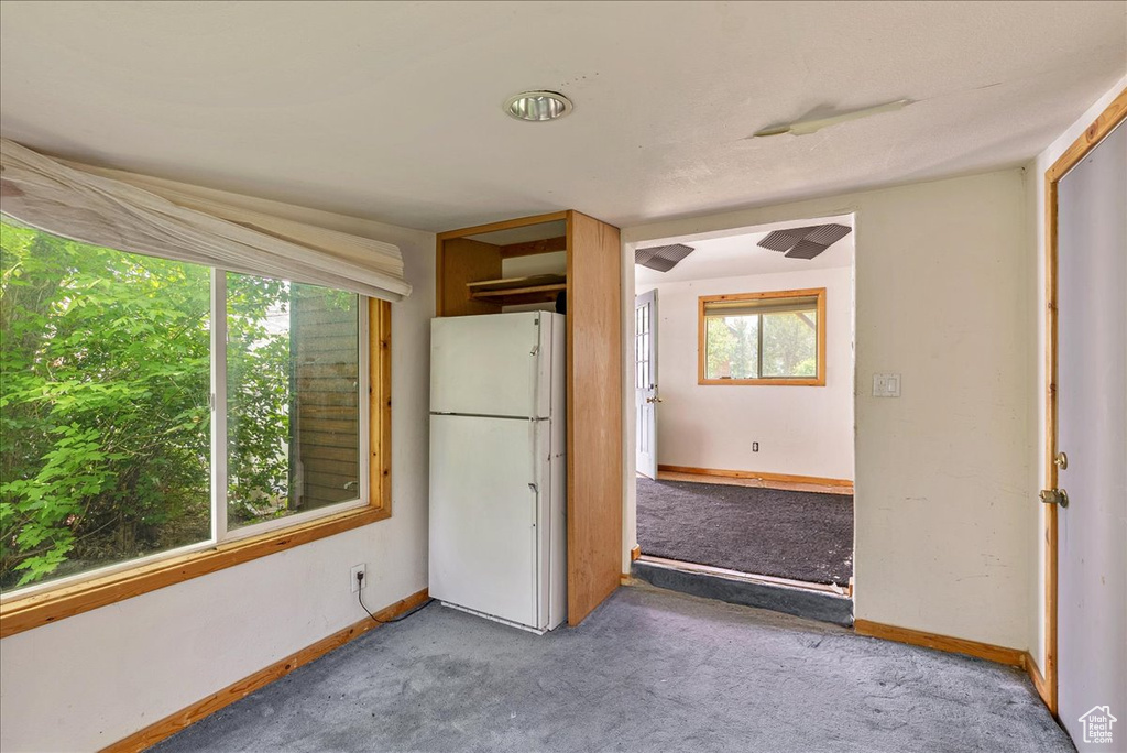 Kitchen featuring freestanding refrigerator, carpet floors, and healthy amount of natural light