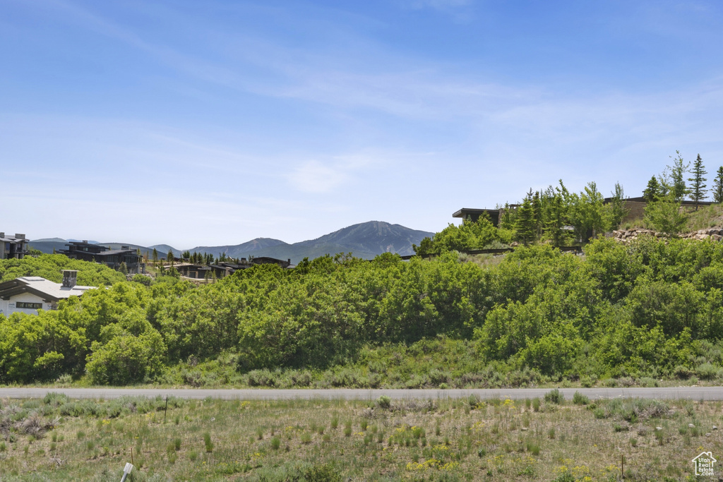 View of mountain background
