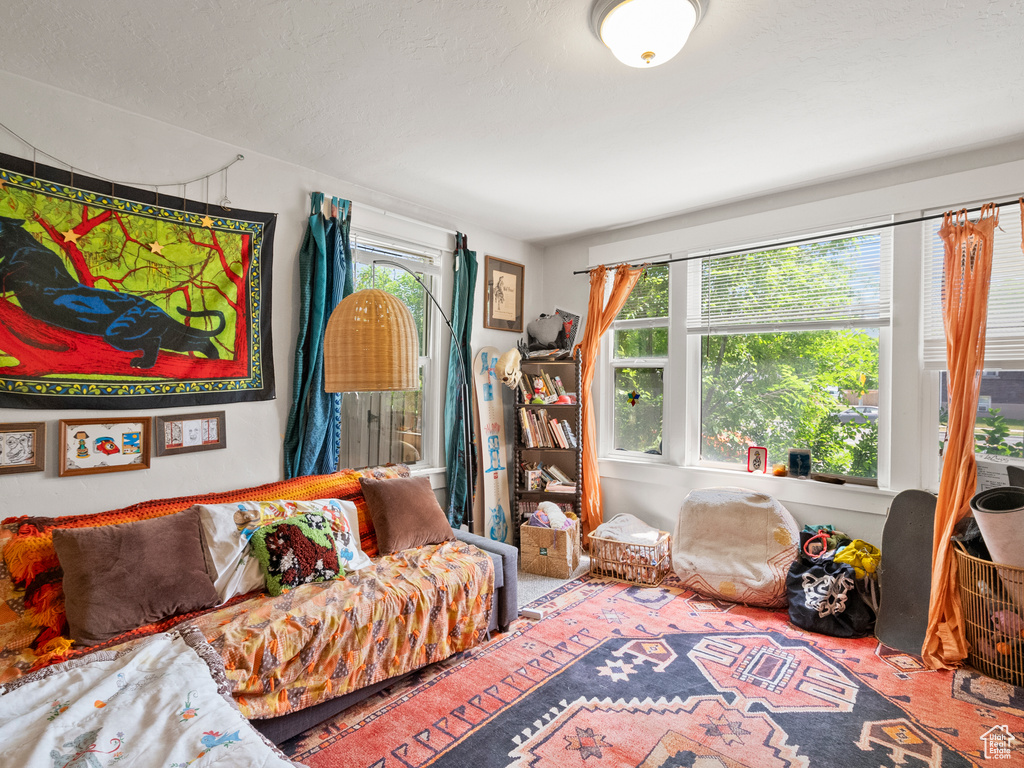 Living area featuring plenty of natural light