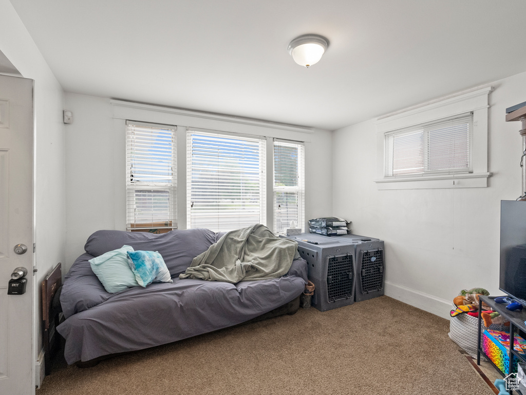Living area featuring plenty of natural light and carpet