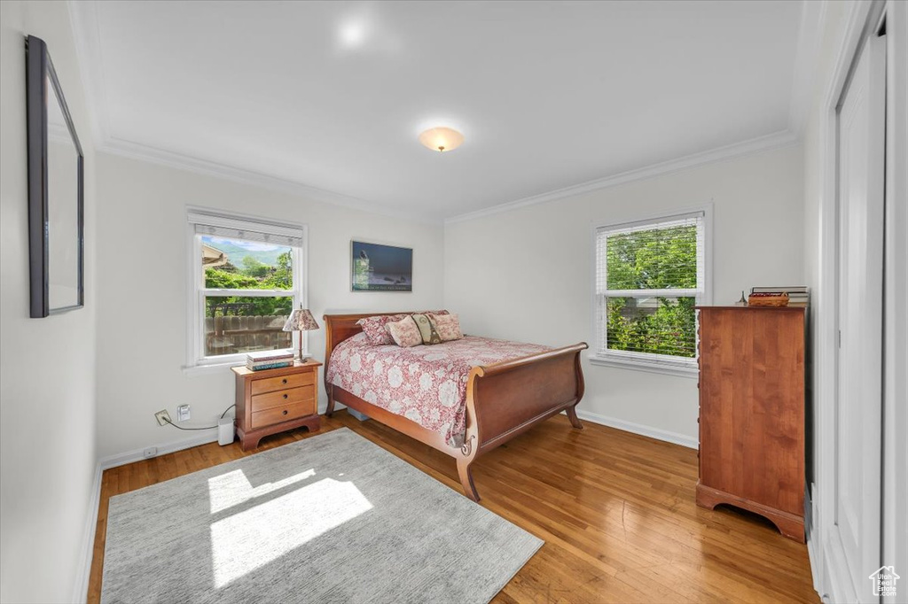 Bedroom featuring ornamental molding, multiple windows, and light wood-type flooring