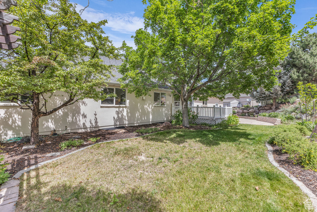 View of grassy yard