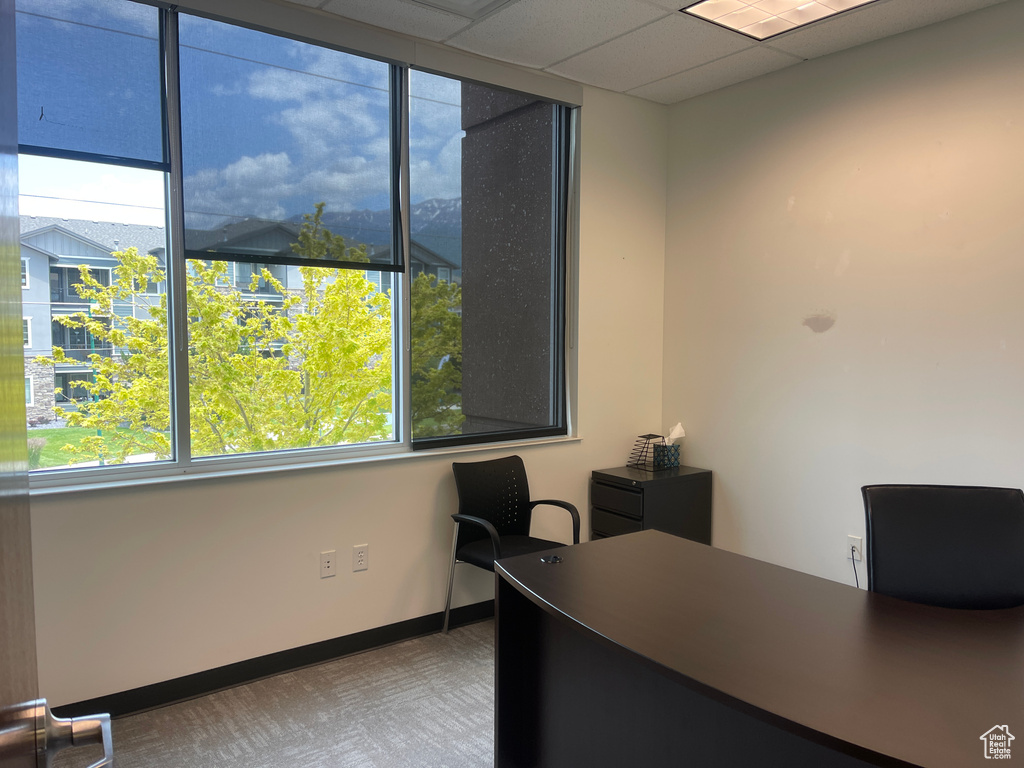 Office featuring healthy amount of natural light