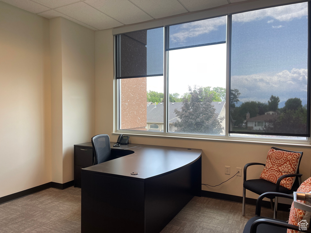 Carpeted office space with healthy amount of natural light and a drop ceiling