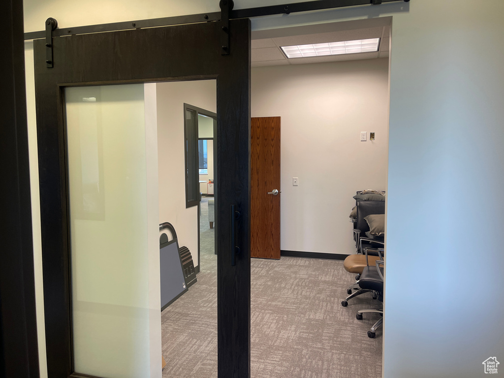 Home office featuring a barn door, light colored carpet, and a drop ceiling