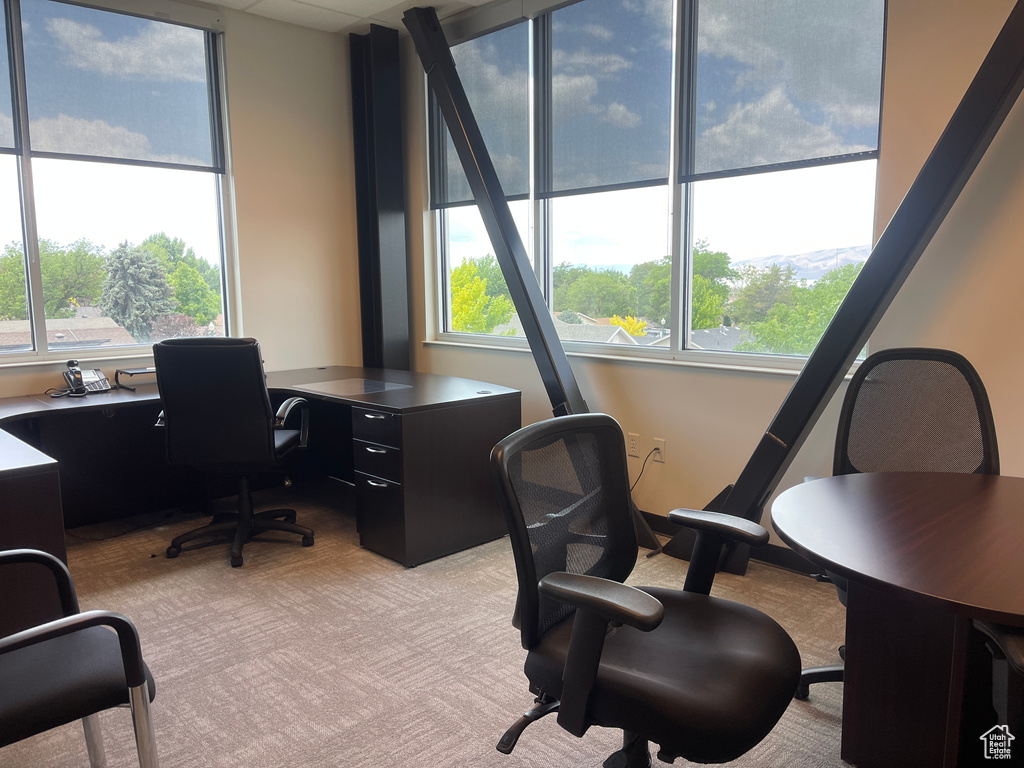 Office space featuring light colored carpet