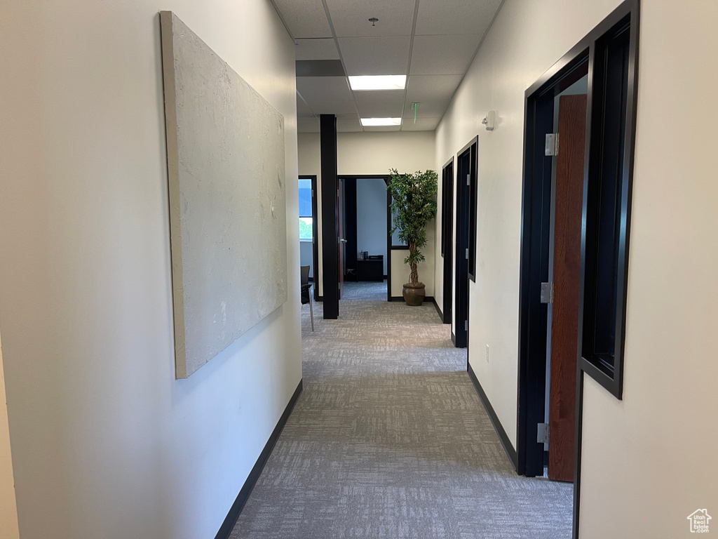 Corridor featuring dark colored carpet and a drop ceiling