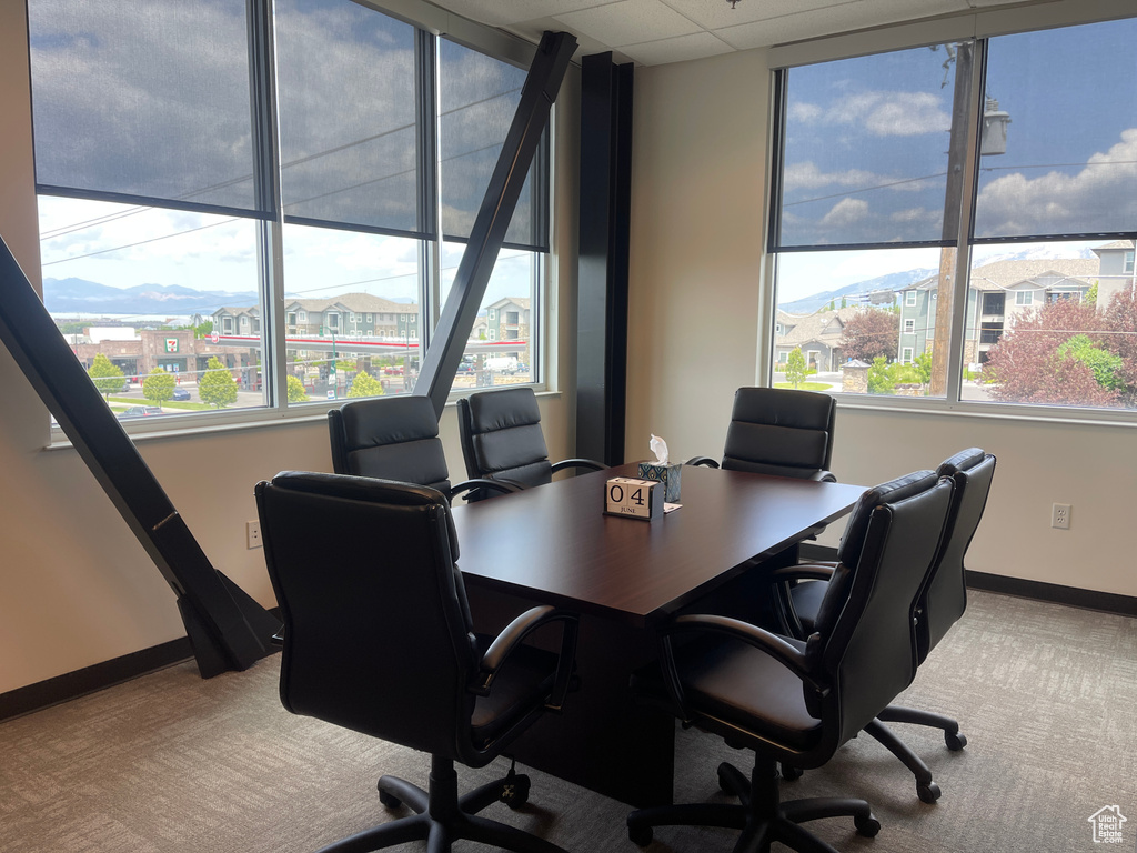Carpeted office space featuring baseboards and a paneled ceiling