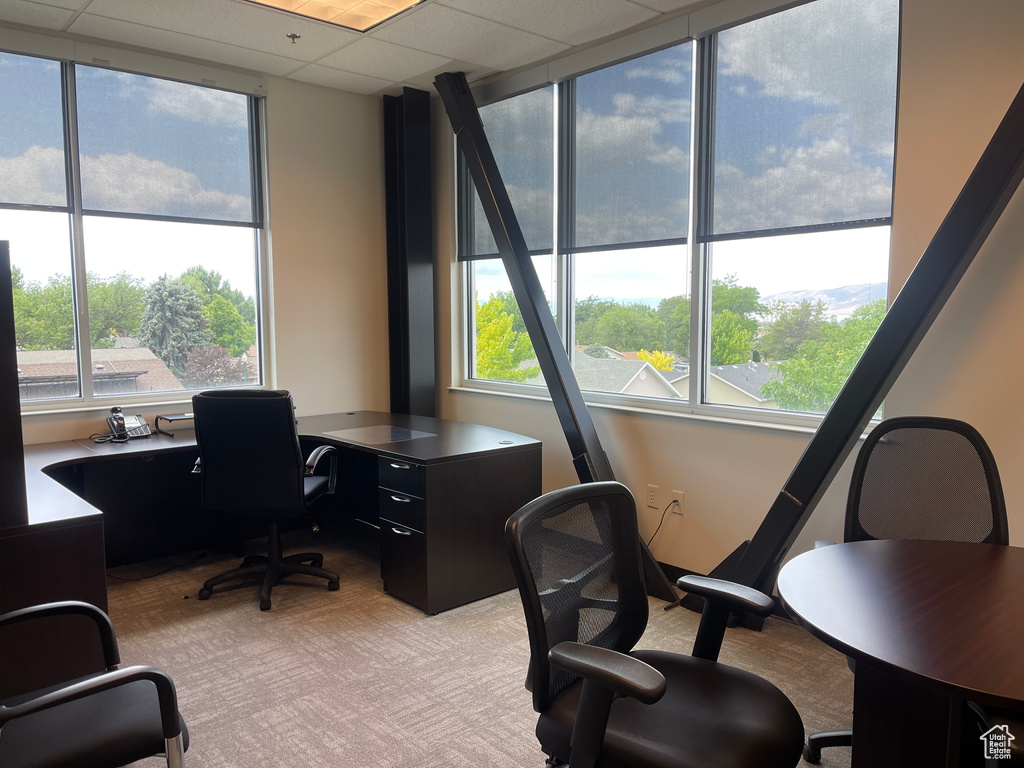 Office space with light carpet