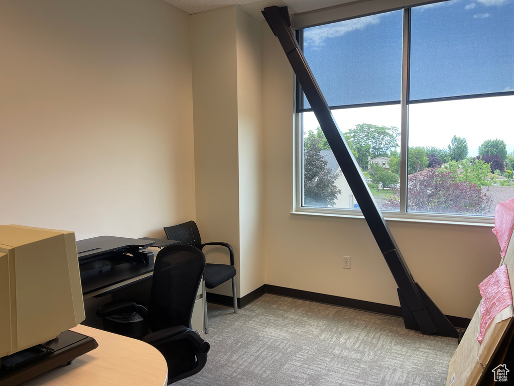 Carpeted home office with baseboards