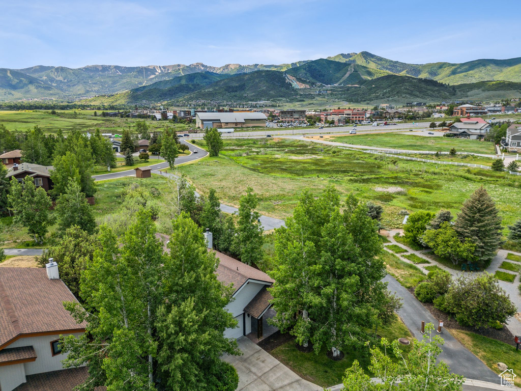 Bird's eye view of a mountainous background