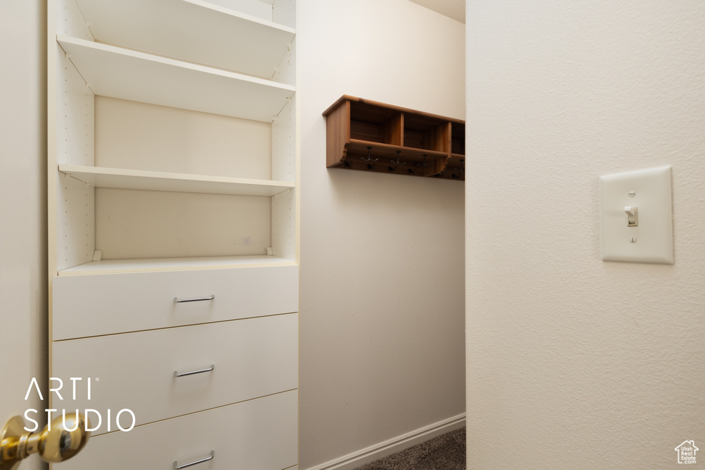 Walk in closet featuring carpet floors