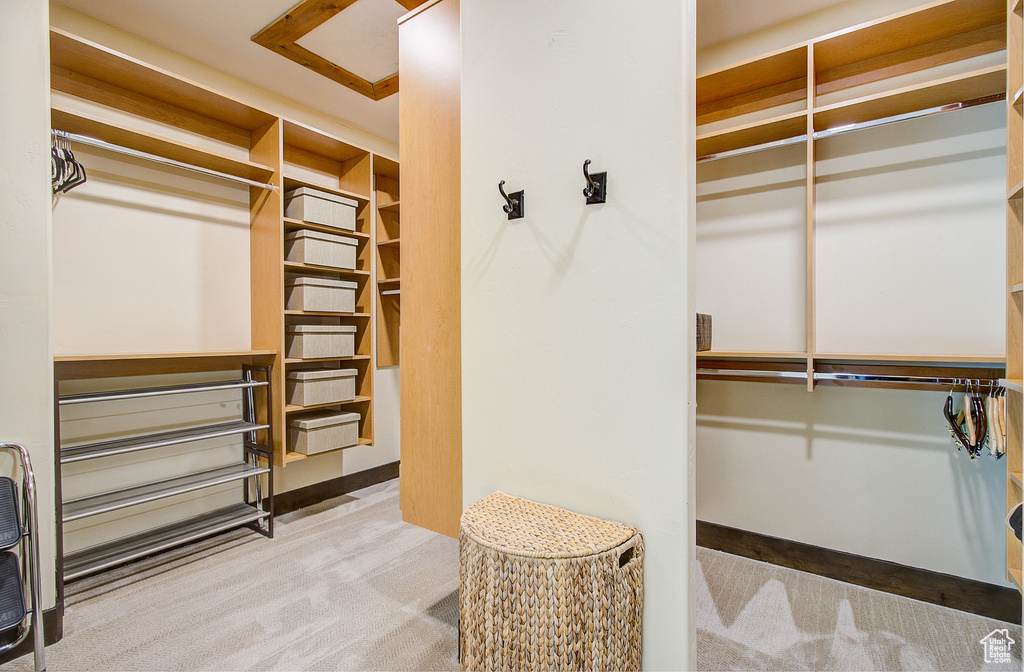 Spacious closet with carpet flooring