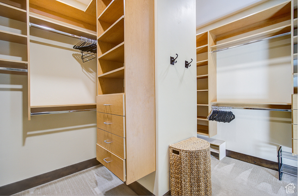 Spacious closet featuring carpet