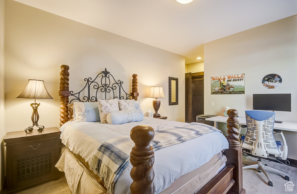 Carpeted bedroom with a closet