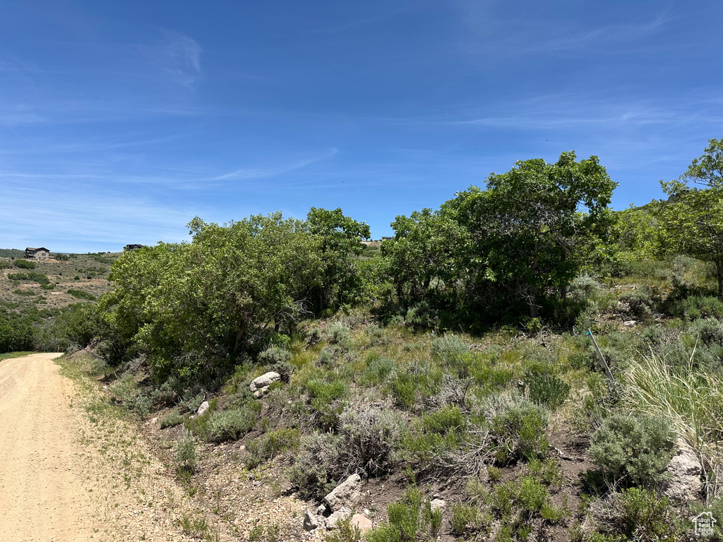 View of undeveloped land