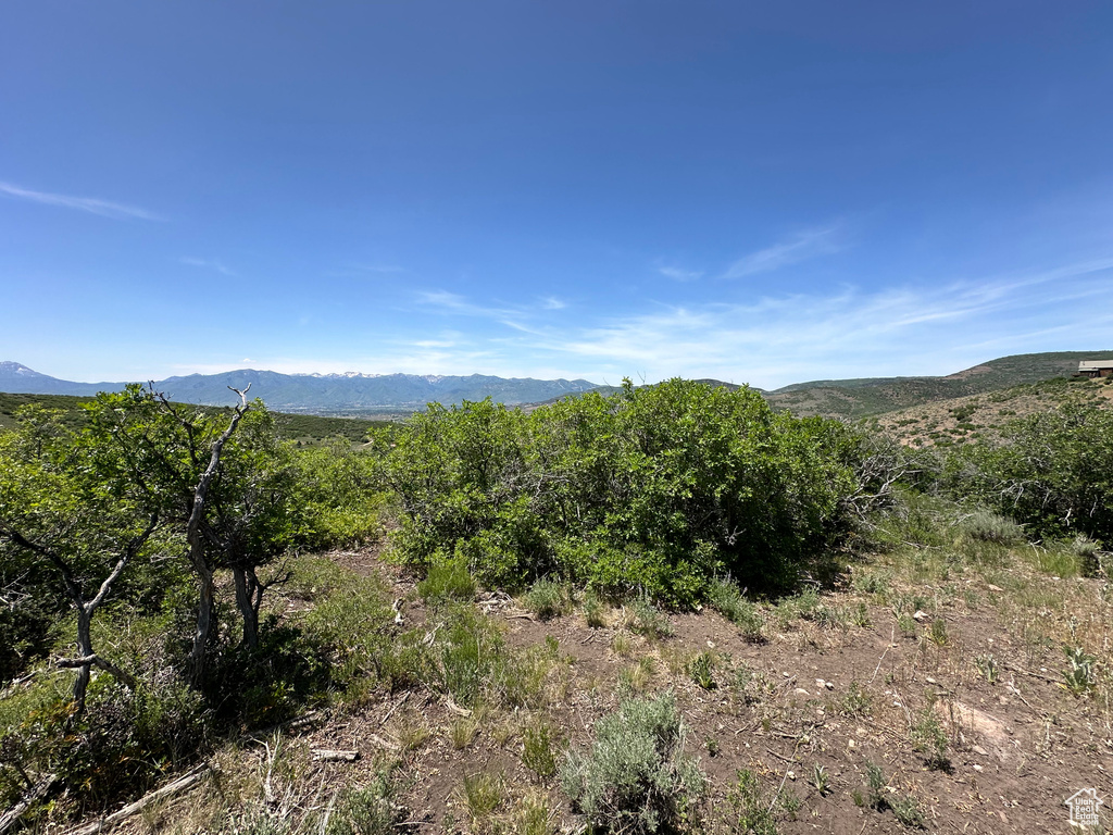 View of mountain backdrop