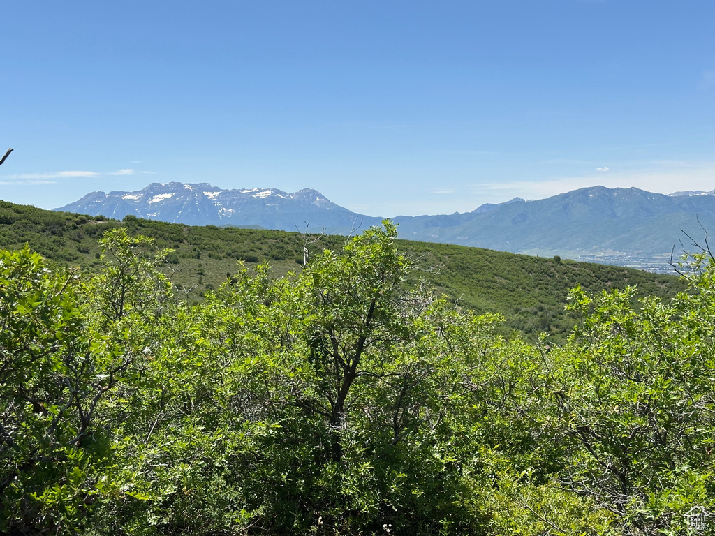 View of mountain background