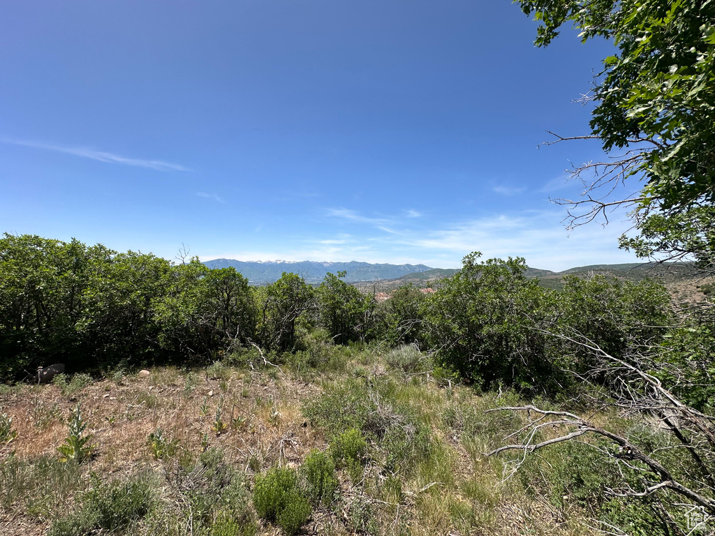 View of mountain backdrop