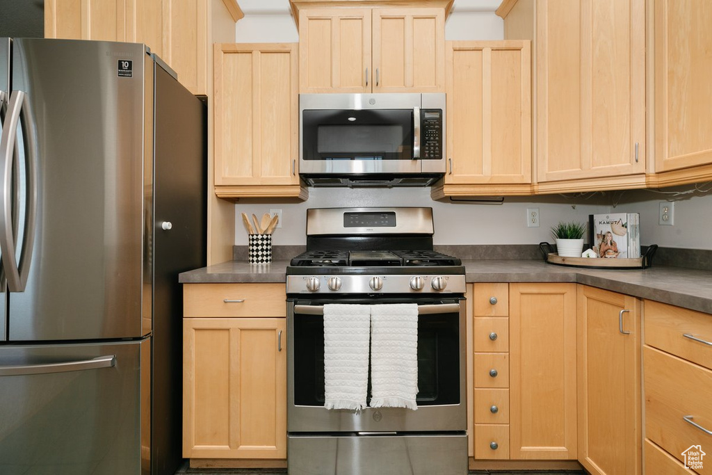 Kitchen featuring appliances with stainless steel finishes, light brown cabinets, and dark countertops
