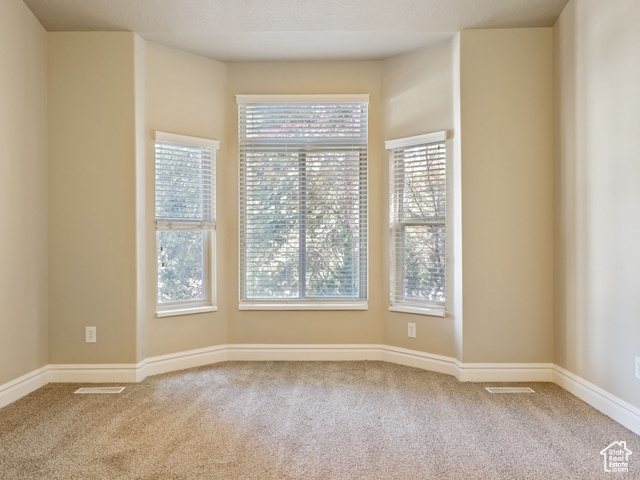 Carpeted empty room with baseboards