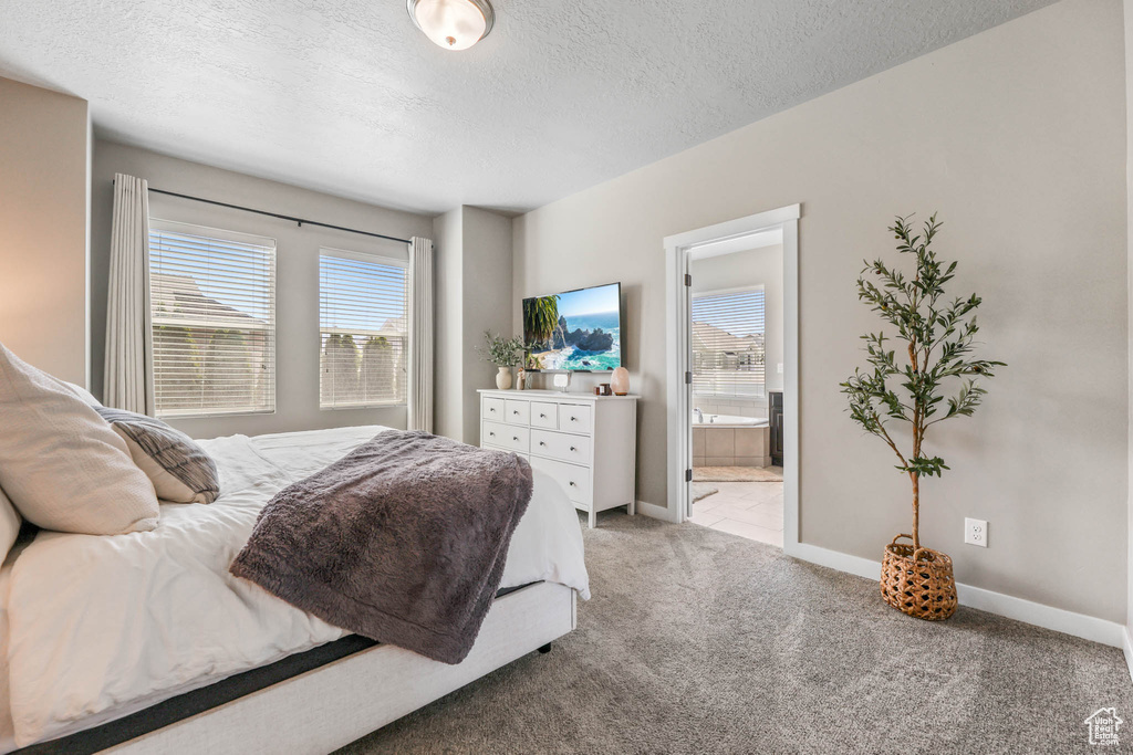 Carpeted bedroom with a textured ceiling and ensuite bath