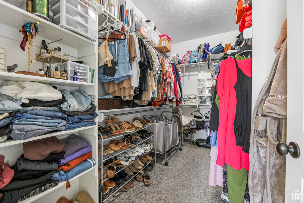 Walk in closet with carpet flooring