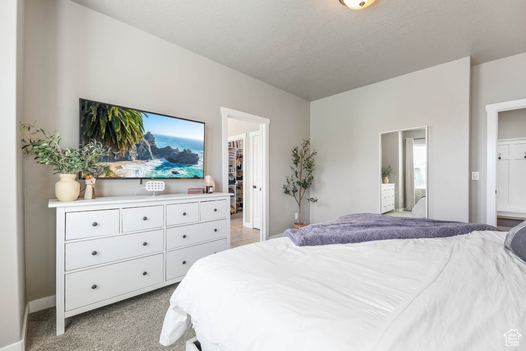 Bedroom with a spacious closet and light colored carpet