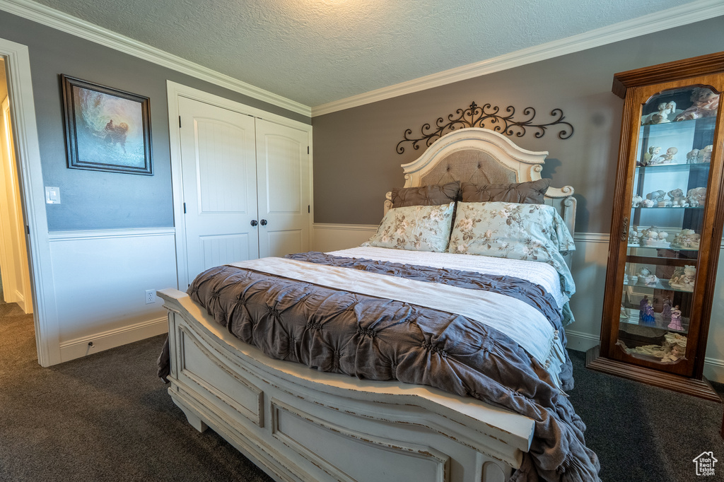 Bedroom with dark colored carpet, a closet, wainscoting, crown molding, and a textured ceiling