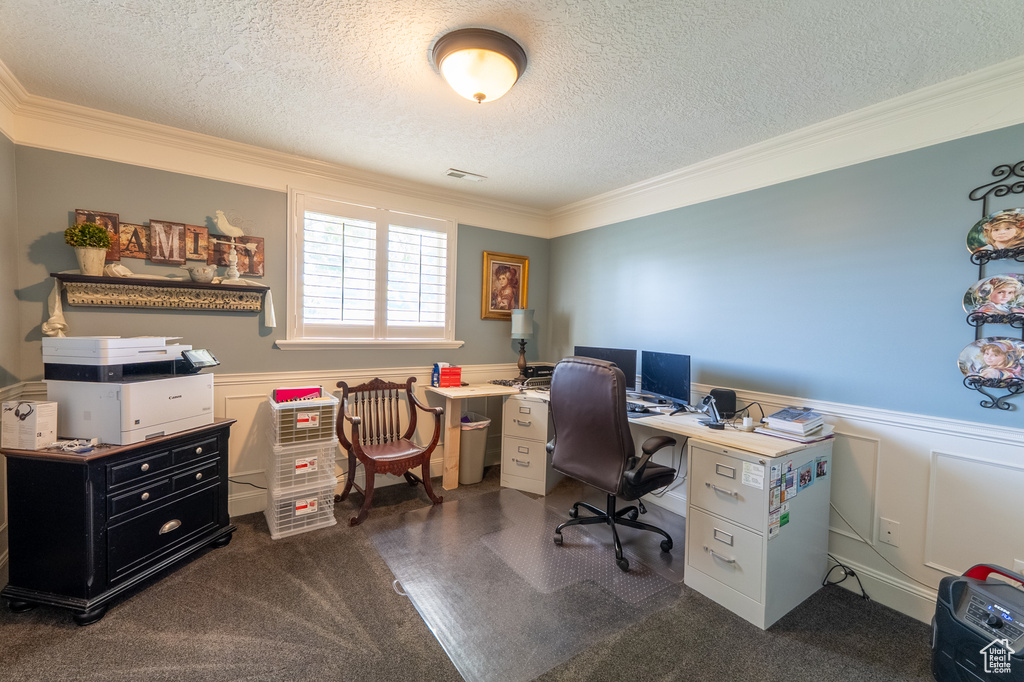 Carpeted home office featuring ornamental molding, a textured ceiling, and wainscoting