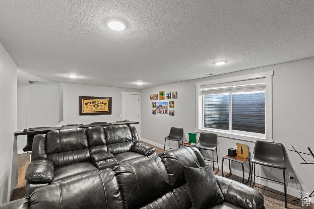Cinema room with a textured ceiling and recessed lighting