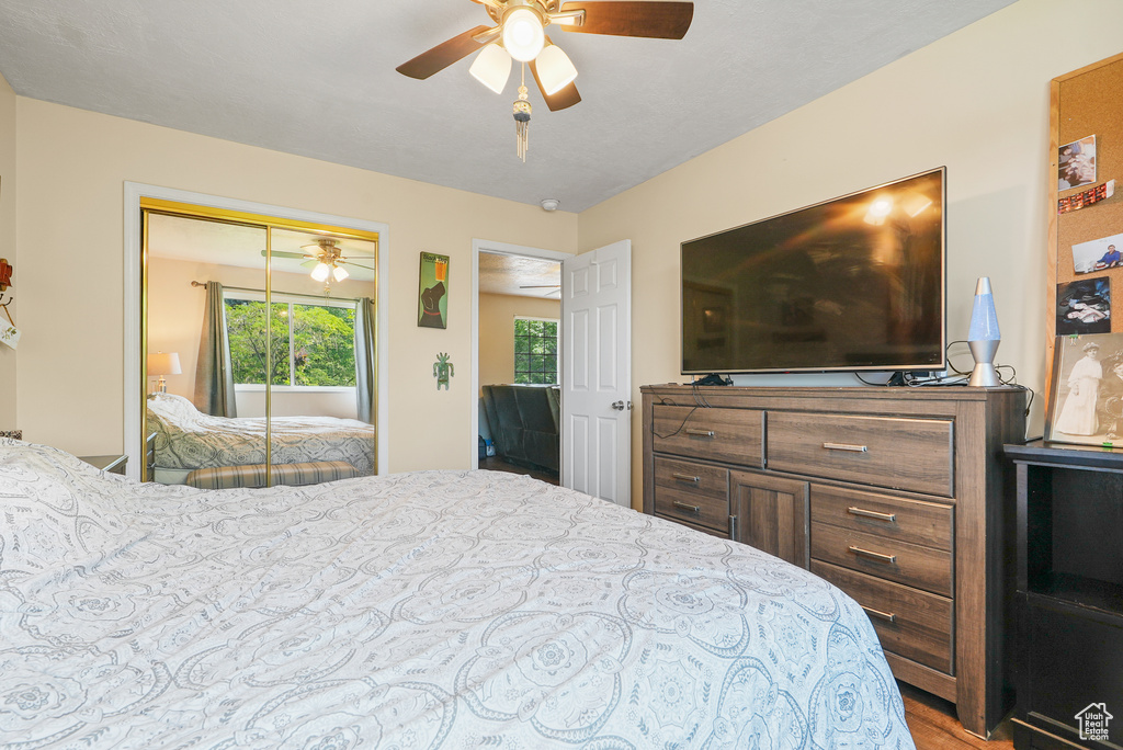 Bedroom with a closet, ceiling fan, and wood finished floors